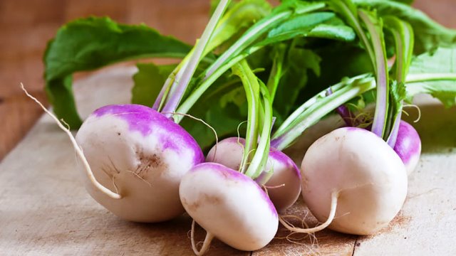 Внешний вид созревшей брюквы на грядке