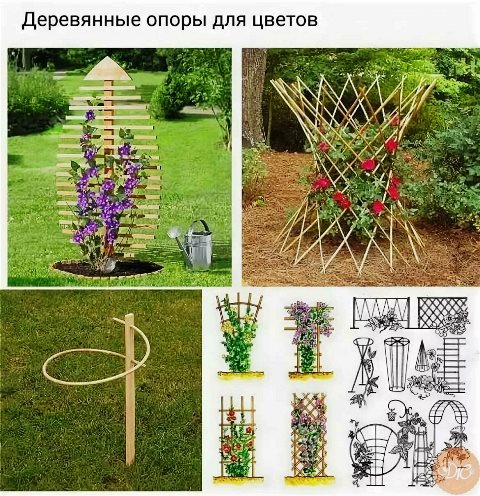 Идеи оформления сада с клематисами