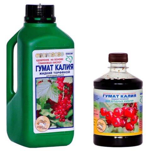 Подкормка плодово-ягодных культур