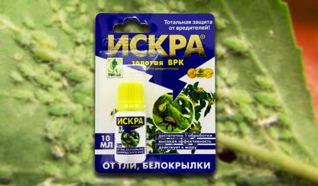 Использование инсектицидов на капусте