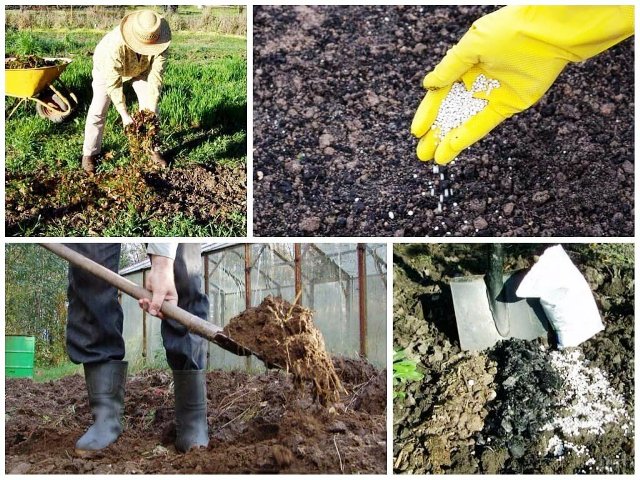 Процесс восстановления плодородия почвы осенью