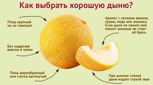 Свежая спелая дыня на столе