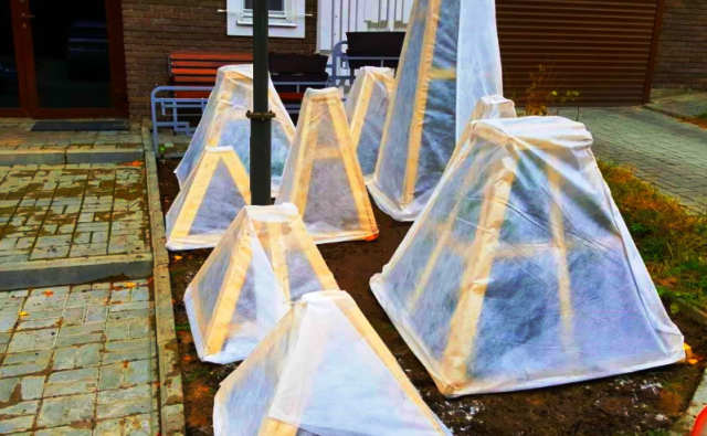 Схема каркасного укрытия для роз