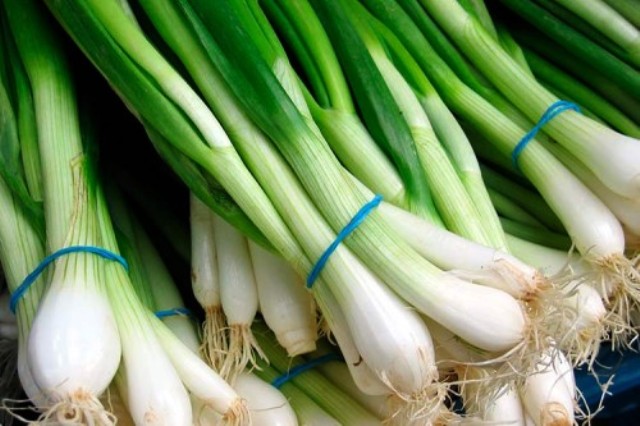 Разные виды лука для выращивания на подоконнике