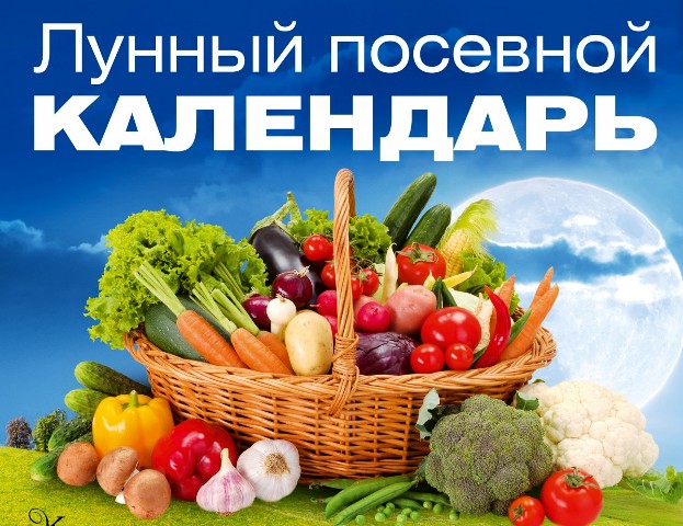 Лунный посевной календарь 2026 года для садовода