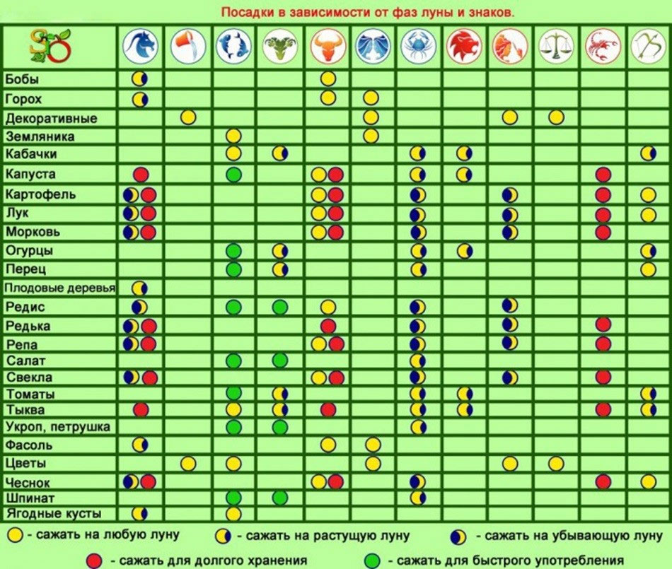 Зодиак белгілеріне сәйкес отырғызу күнтізбесі