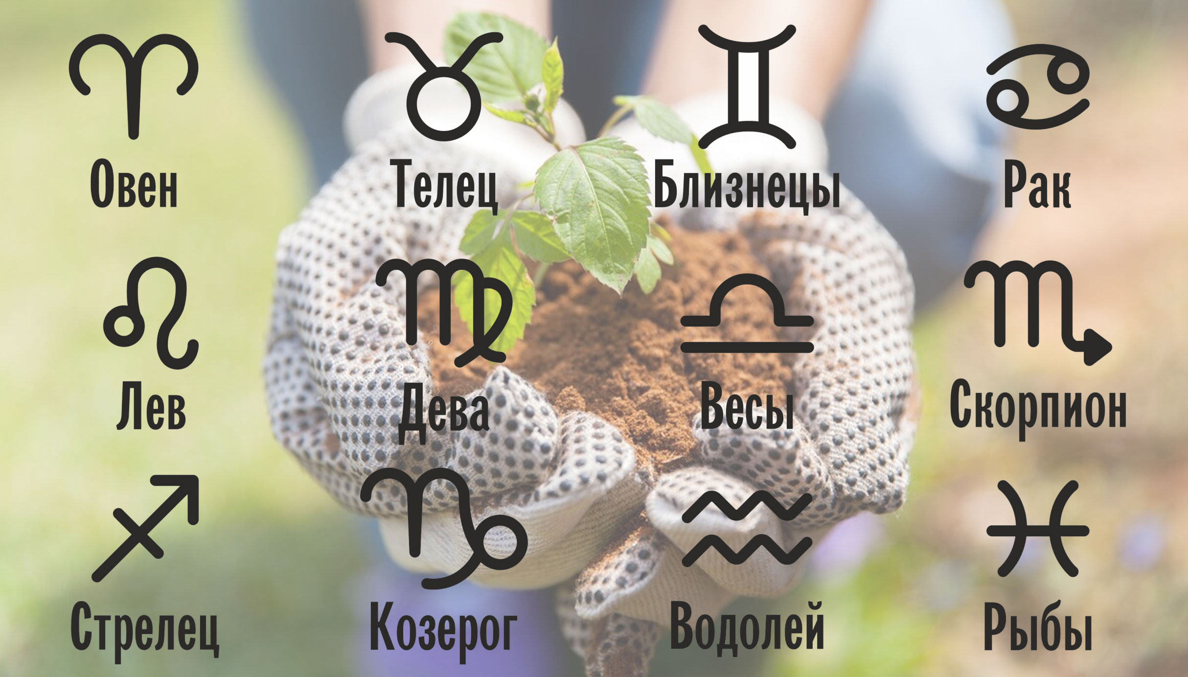 Влияние знаков Зодиака на развитие растений