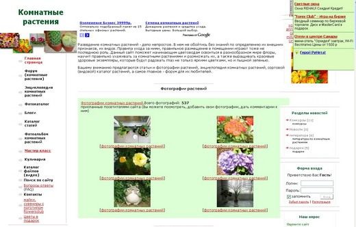 Видеоуроки по уходу за растениями на flowersclub.info