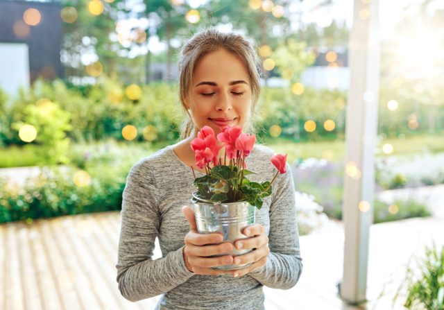 Какие комнатные растения приносят удачу и счастье в дом по народным поверьям