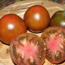 Pomidor "Shokoladli zefir"« Pomidor "Shokoladli zefir"