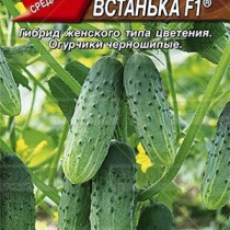 Вредители и болезни огурцов в открытом грунте