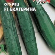 Ошибки при уходе за огурцами