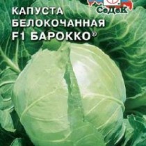 Капуста белокочанная Барокко F1 Капуста белокочанная Барокко F1