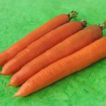 Морковь «Олимпус