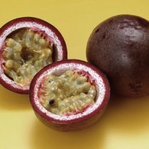 Пассифлора тұқымдарын скарификациялау