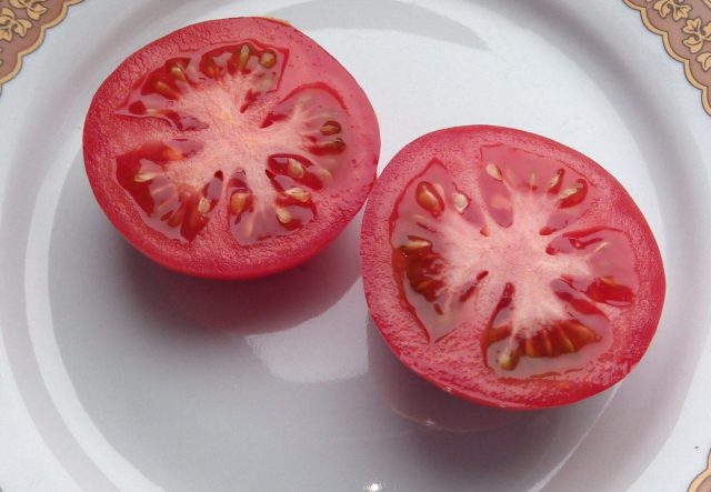 Плоды у саньки некрупные, 80-100 граммов, круглые, красные. Вкус простой, помидорный, без изысков — это рабочая лошадка, а не деликатес. Плоды у саньки некрупные, 80-100 граммов, круглые, красные.