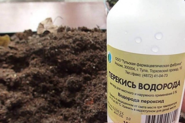 Перекись водорода значительно улучшает аэрационные свойства почвы Применение перекиси водорода для обработки почвы и сеянцев