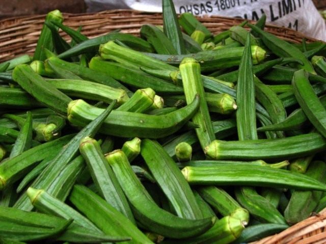 Как вырастить бамию в открытом грунте и ухаживать за ней