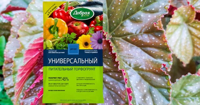Можно взять готовый торфогрунт Универсальный Добрая сила. Он идеально подходит для бегоний по физической структуре и кислотности, так как стабилизирован доломитовой мукой. Подготовка почвосмеси для пересадки бегонии