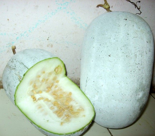 Сбор урожая восковой тыквы