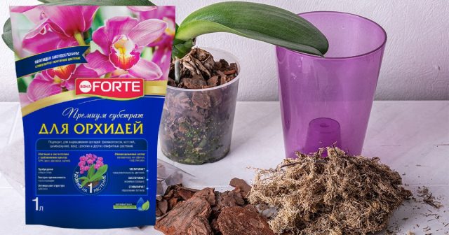 Подготовка субстрата с добавлением сфагнума