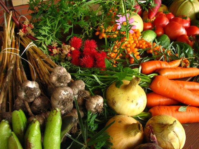 Принципы и методы органического земледелия на участке