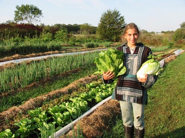 Мульчирование қолданылған жақсы күтілген бақша