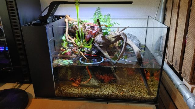 Схема разделения аквариума на зоны суши и воды