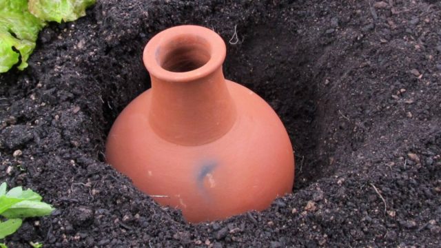 Как организовать полив участка методом олла для экономии воды в засушливый период
