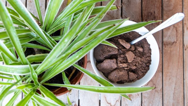 Использование сухой кофейной гущи в качестве разрыхлителя