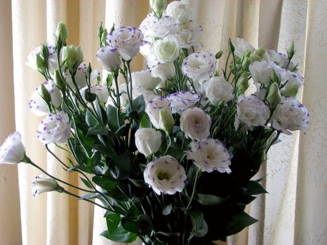 Букет из срезанных эустом