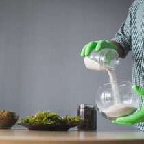 Для флорариума лучше всего подходит стеклянная баночка, аквариумная емкость или террариум Этап закладки дренажного слоя
