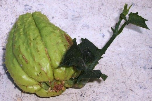 Блюдо из чайота