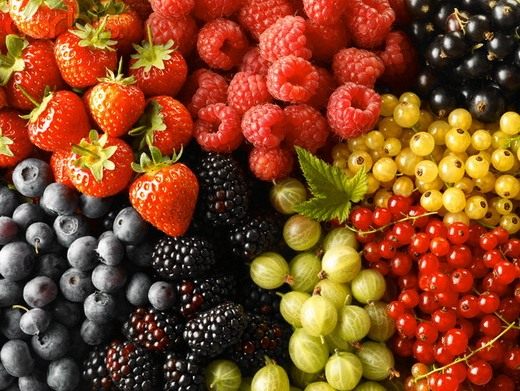 Ягоды в лотках для хранения