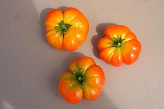 Томат «С острова Бали» (Bali Tomato)