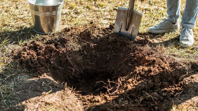 Хранение тыквы в домашних условиях