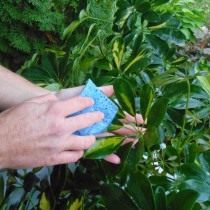 Тщательная очистка листовой пластины мягкой тканью