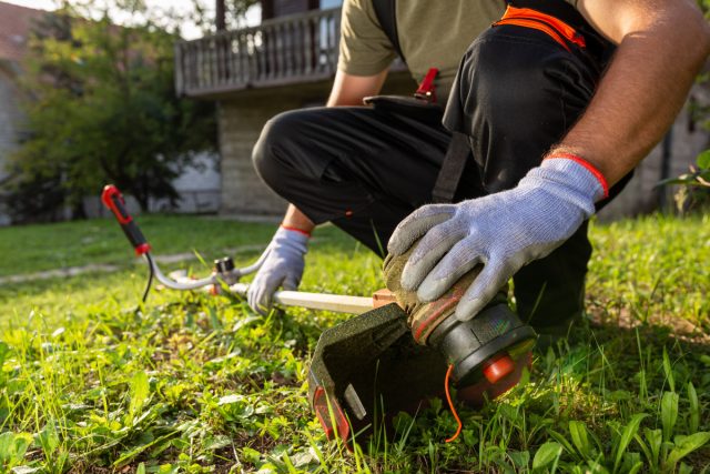 Выбор триммера для участка: как подобрать мощность и тип привода под задачи покоса
