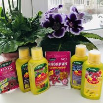 Жабық өсімдіктерге арналған кешенді тыңайтқыштар