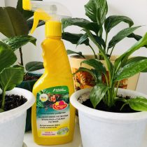 Сәндік жапырақты дақылдарға арналған тыңайтқыштар