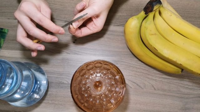 Процесс скарификации семян банана