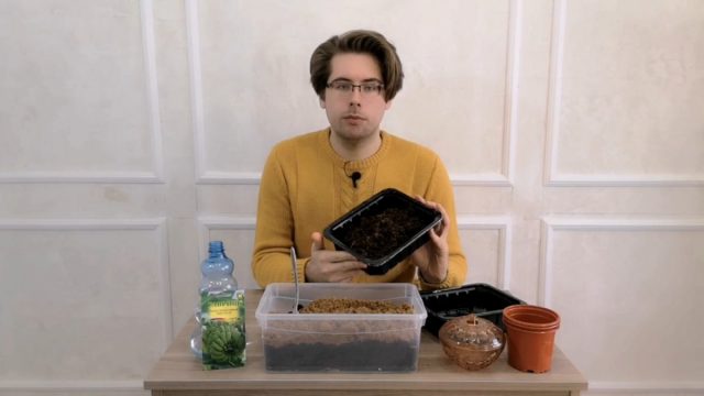 Приготовление почвенной смеси для банана
