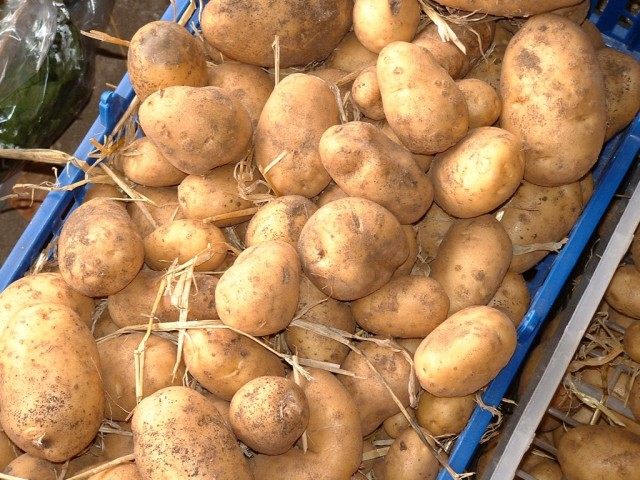 Сортировка картофеля перед закладкой в хранилище