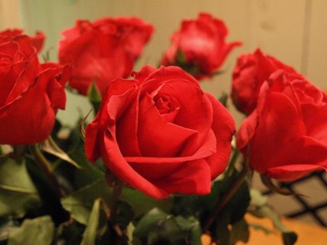 Как продлить жизнь срезанным розам в вазе: пошаговая инструкция по уходу