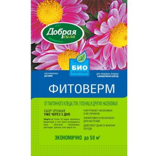 Профилактика появления вредителей на комнатных растениях
