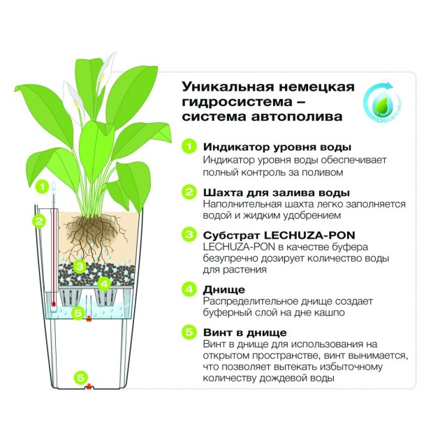 Схема работы системы автополива Инфографика системы автополива для комнатных растений