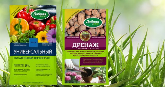 Подготовка дренажного слоя в горшке