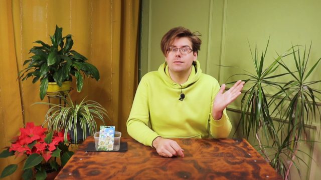 Взрослая цветущая пассифлора в горшке