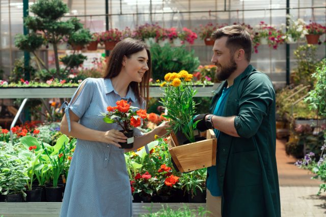 Посадка растений в конце лета и осенью: сроки и выбор саженцев
