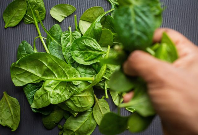Сейчас шпинат выращивают в рамках эксперимента Veggie как часть рациона для затяжных космических полётов. Листья шпината в камере роста на МКС